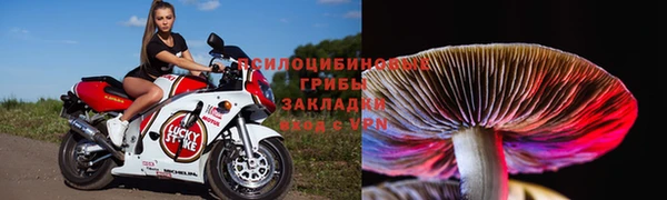 альфа пвп Новозыбков