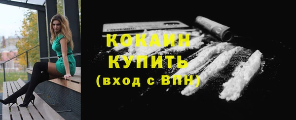 СК Бикин