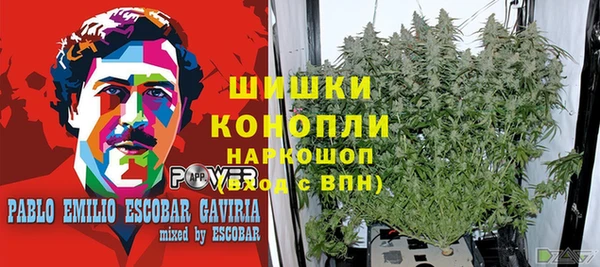 альфа пвп Новозыбков